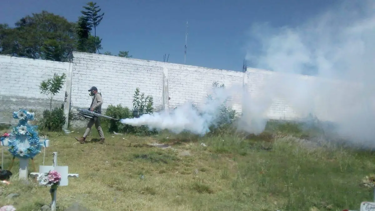 Salamanca- OPERATIVO DENGUE EN LOS PANTEONES 1
