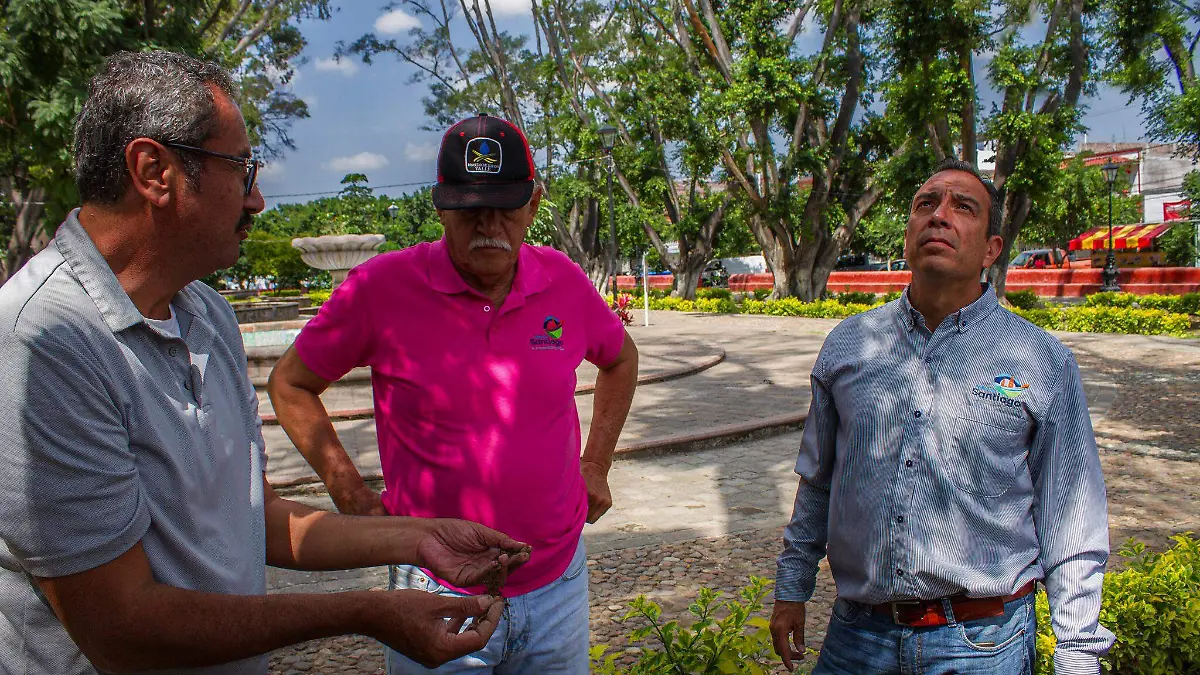 supervisa alcalde la Alameda 2OK