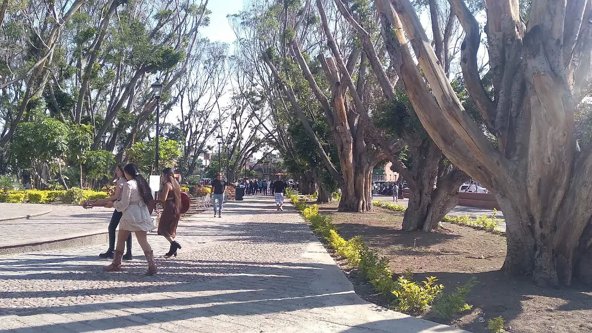 La Alameda de Valle 2 de mayo 2