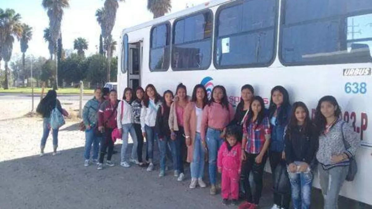 PARTICIPA OK