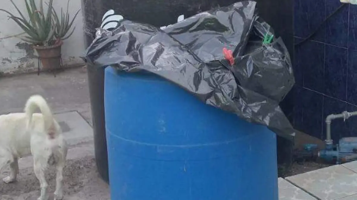 94c58ba0-f4c9-48b7-9c9b-1f2f1196c140