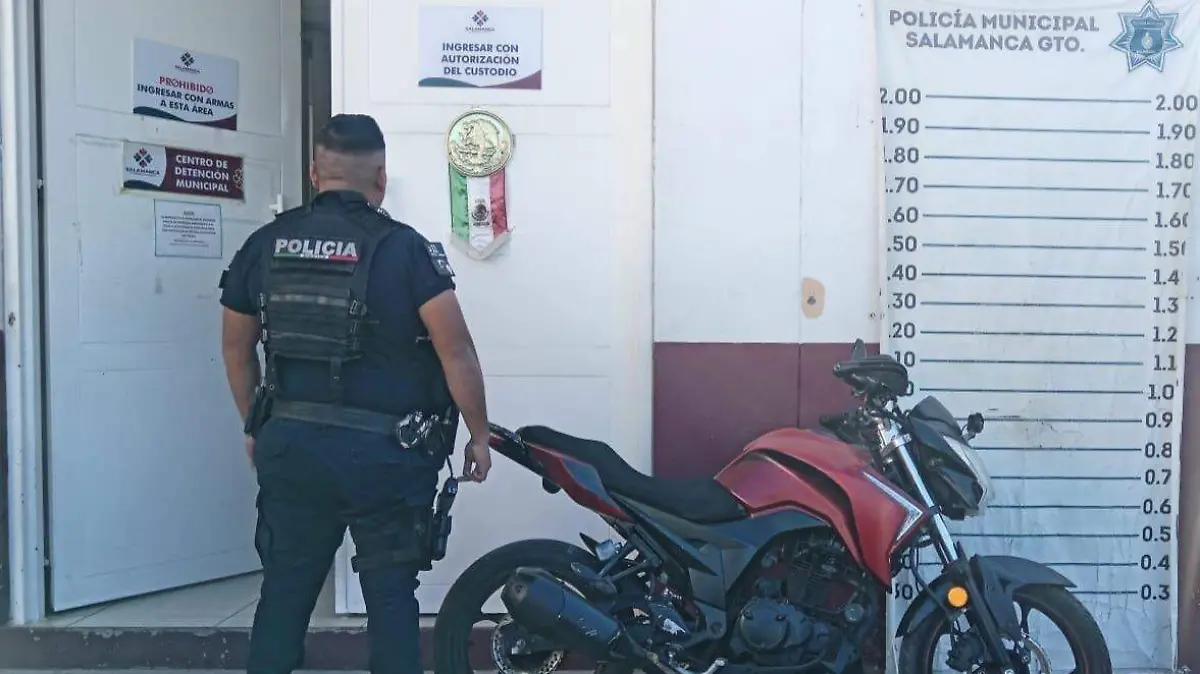 WhatsApp Image 2024-11-27 at 7.02.08 PM (1)