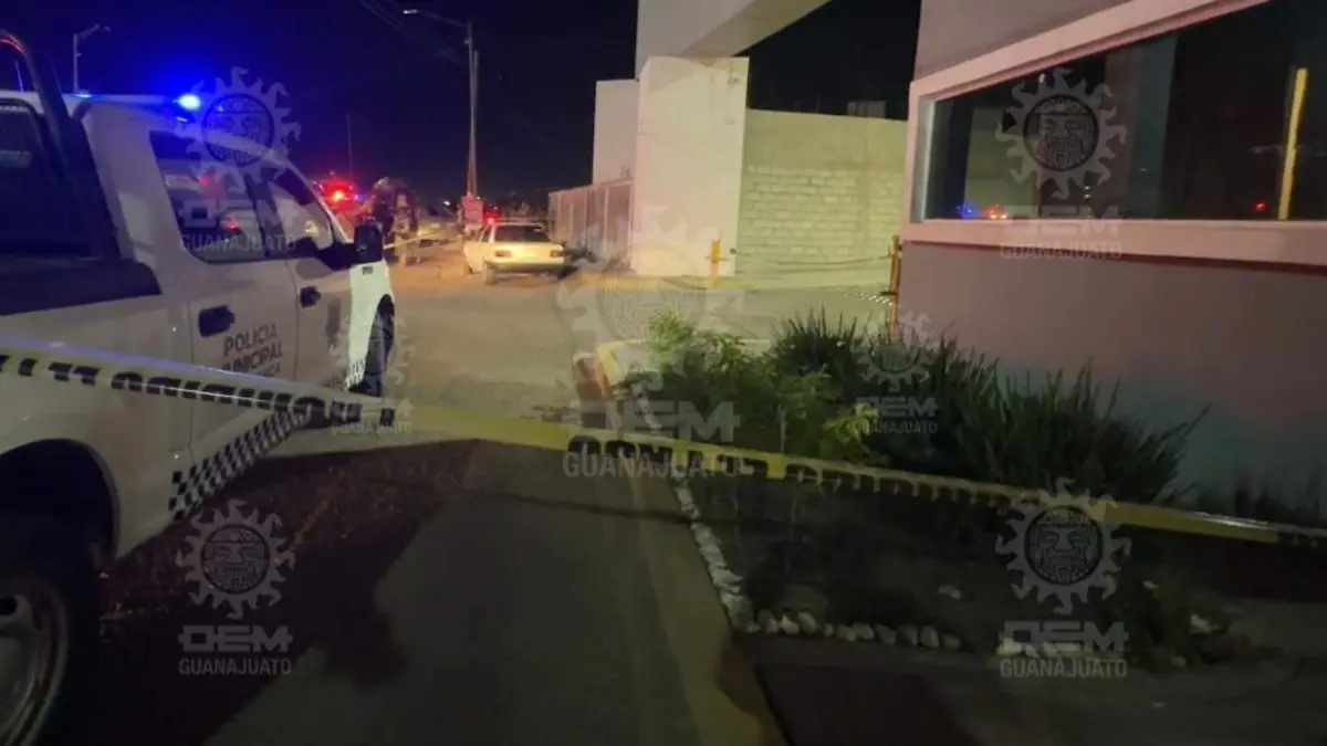 WhatsApp Image 2024-11-27 at 8.28.01 PM (2)