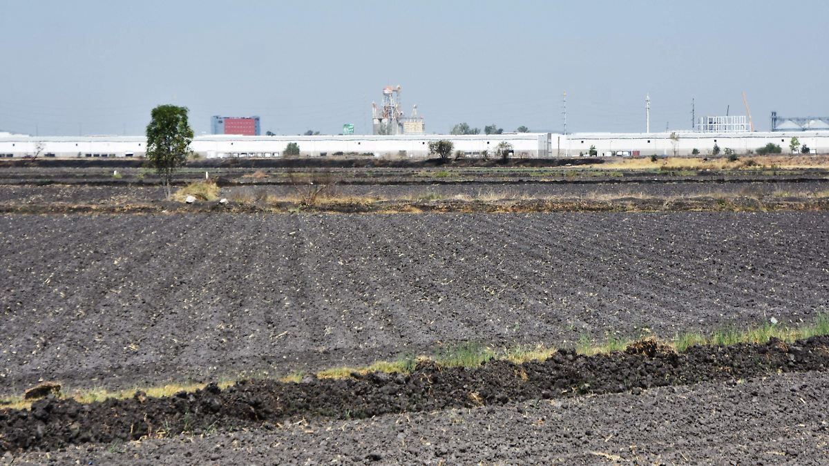 Profesionistas agrícolas abandonan actividades en el campo salmantino. - El  Sol de Salamanca | Noticias Locales, Policiacas, de México, Guanajuato y el  Mundo
