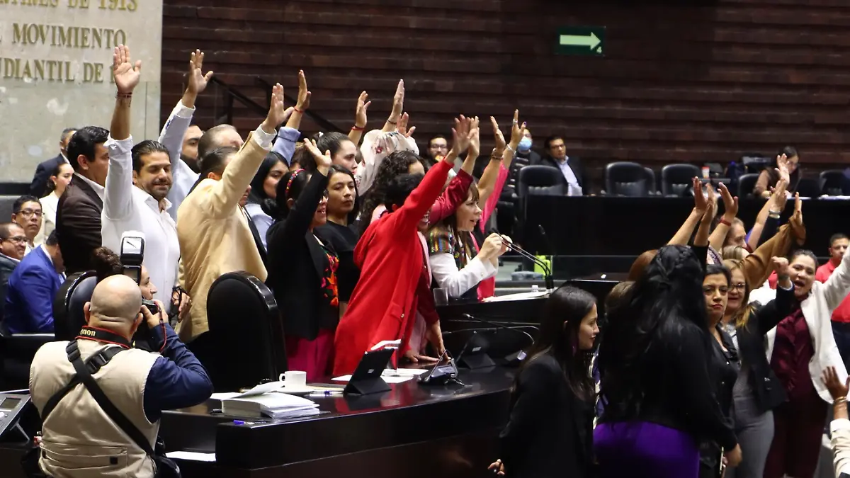 Cámara de diputados (3)