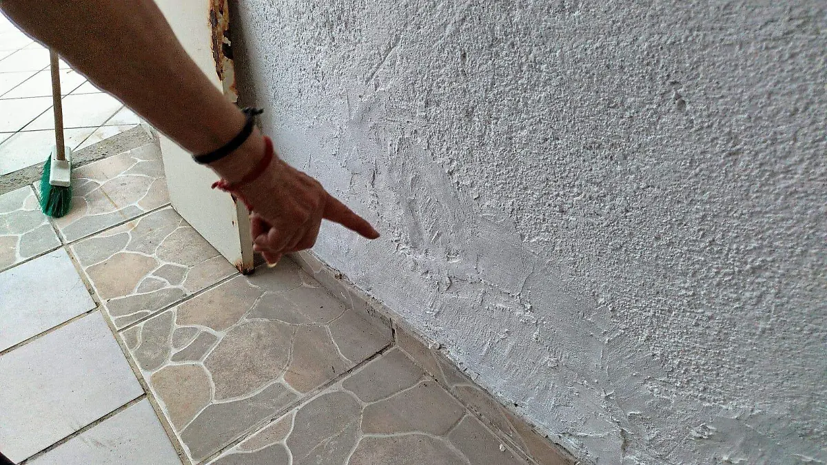 denuncia  (1)