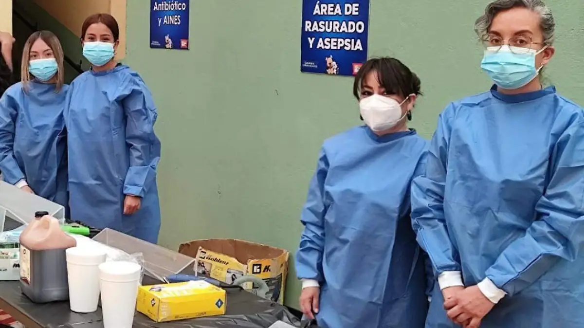 megaesterilización (2)