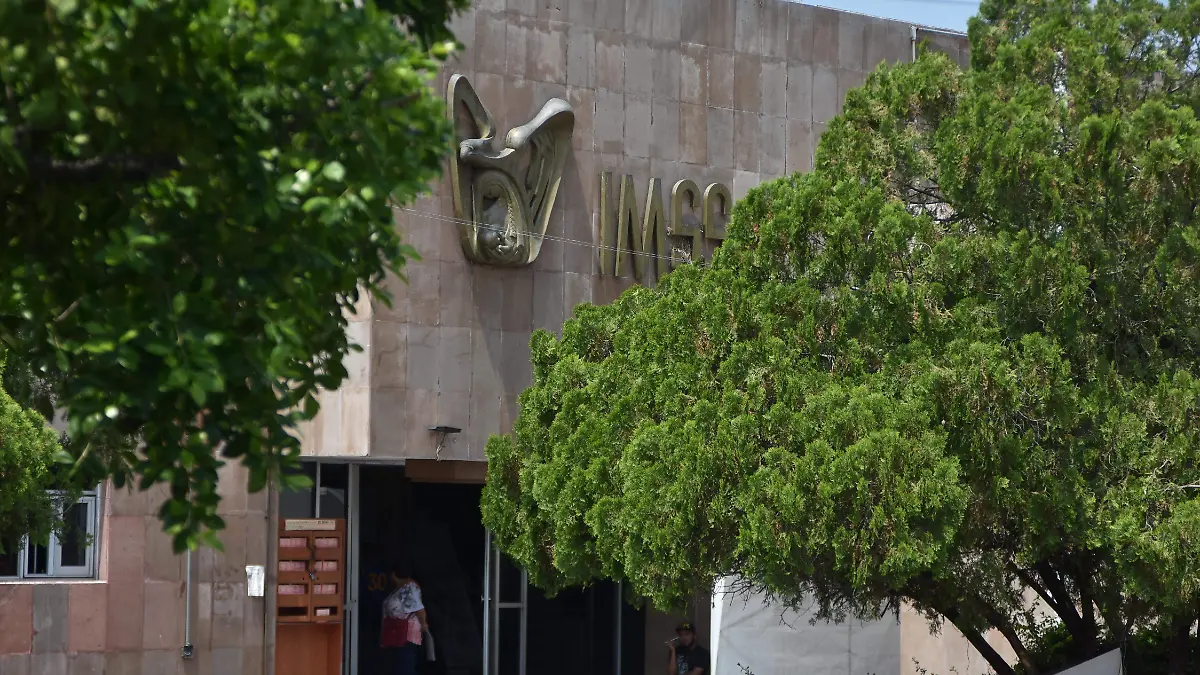 imss (3)