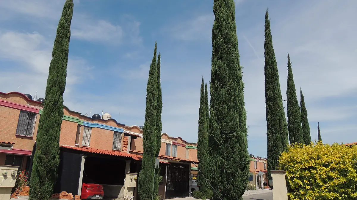 Vecinos.jpg