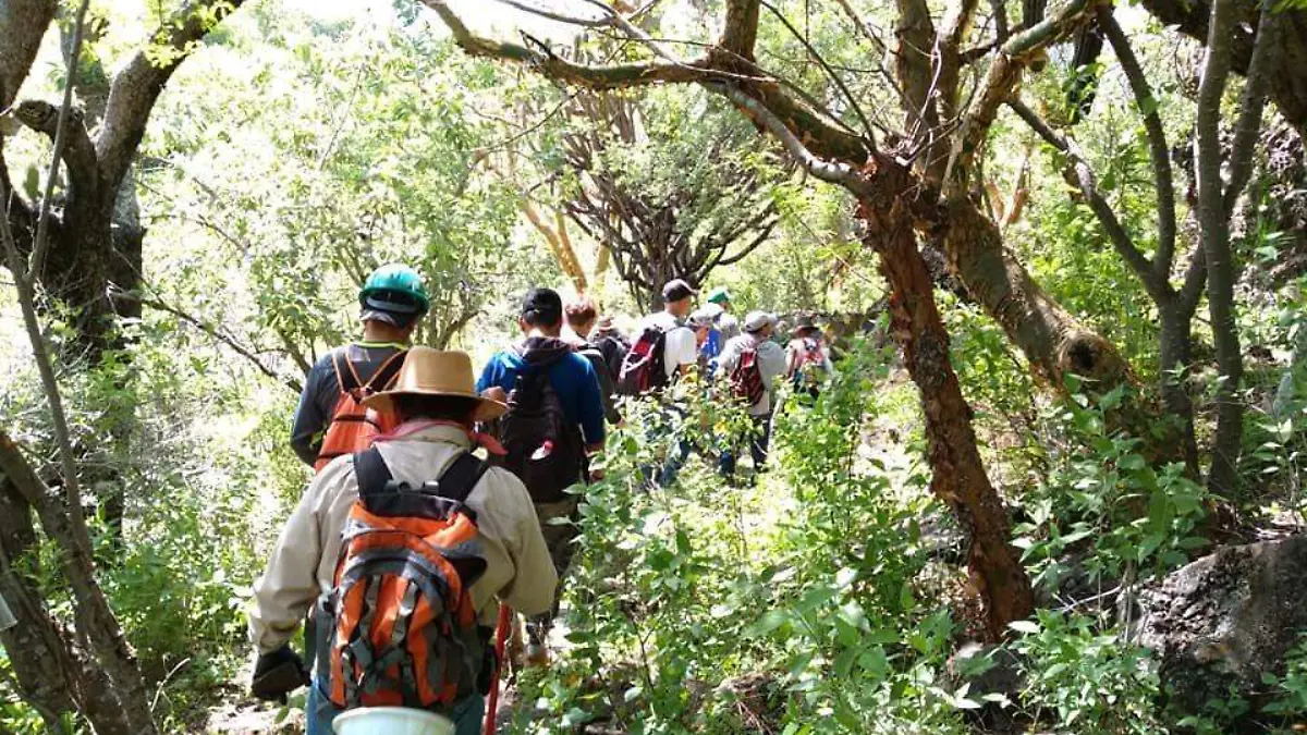 Acuden al cerro de Culiacàn