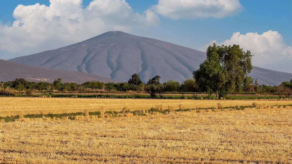 Reforestarán el Cerro de Culiacán en Jaral del Progreso 