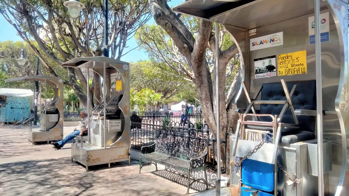 limpiadores de calzado (1)