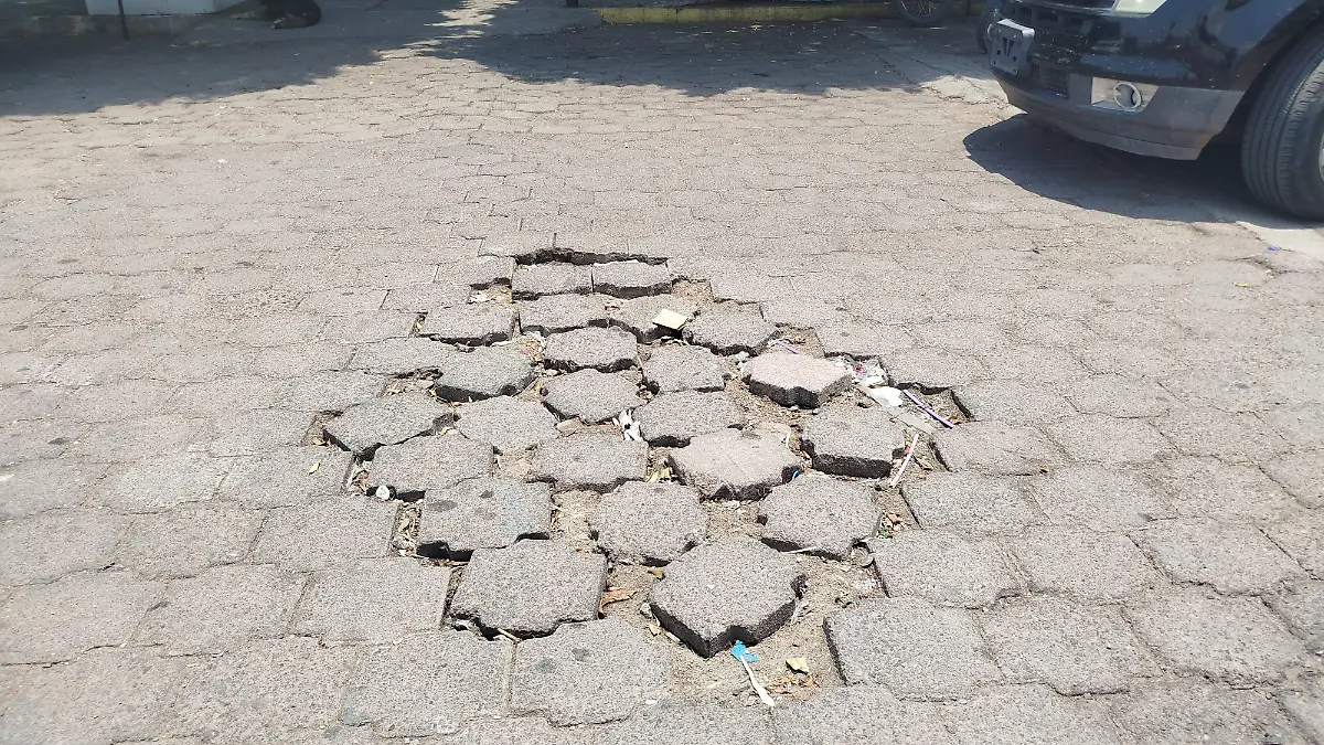 Rehabilitación  (1)