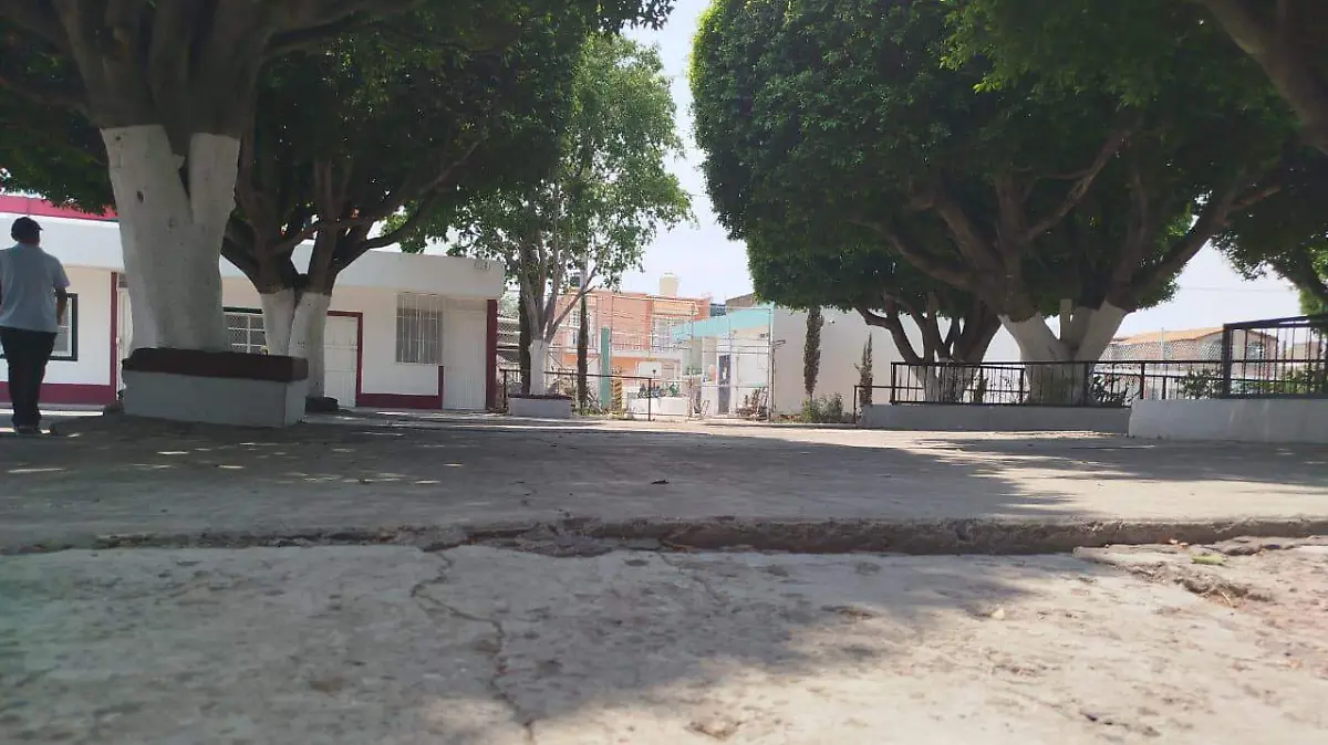 Presentan