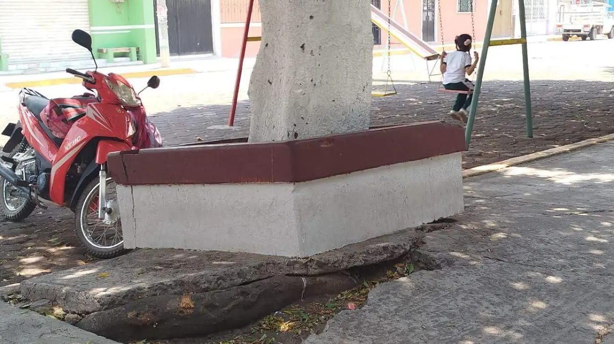 Presentan