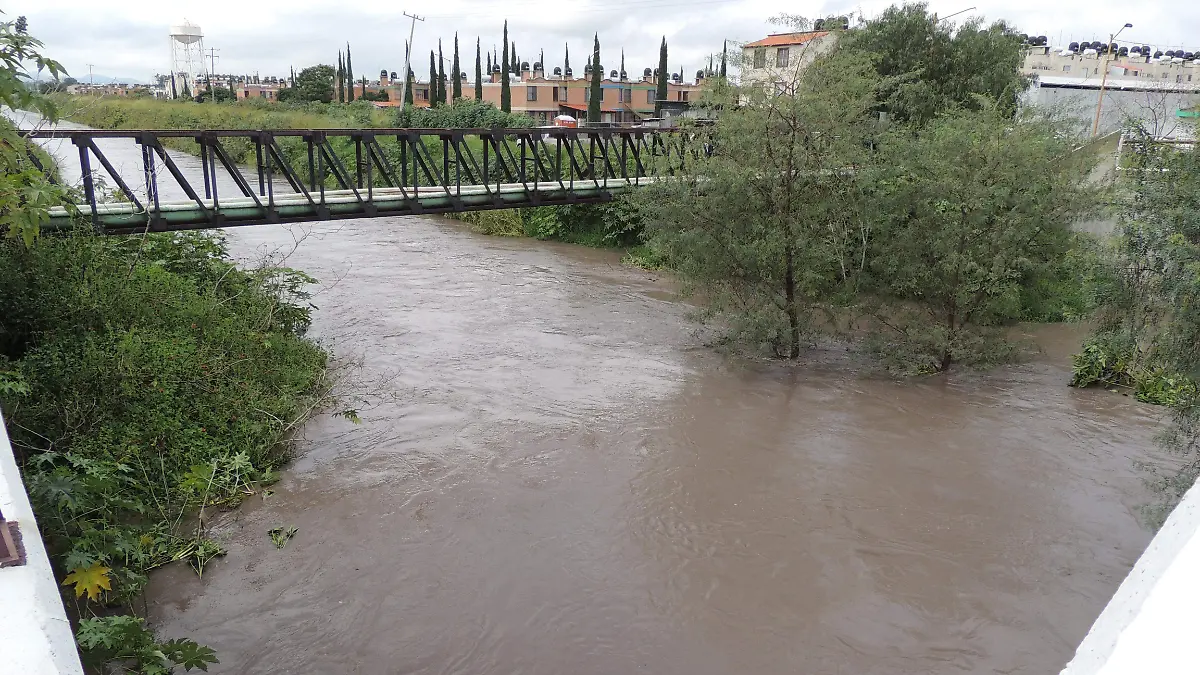 Apesar.jpg