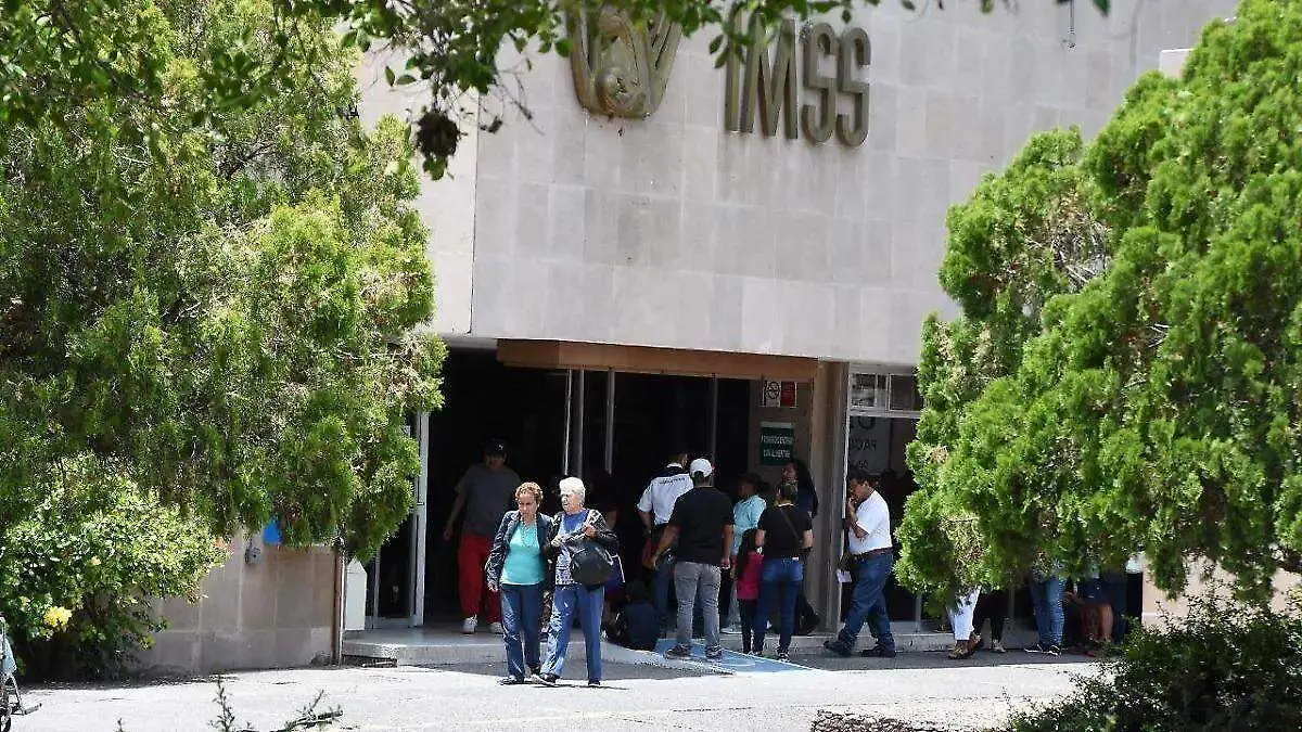 IMSS (1)