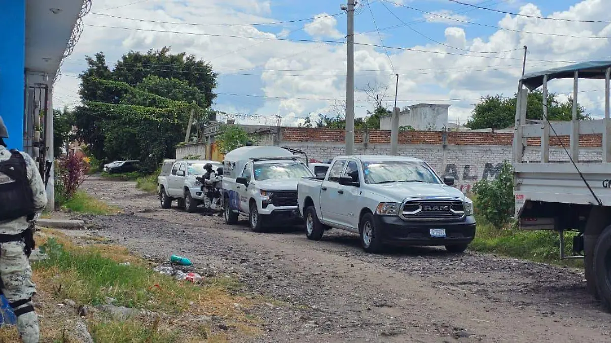 8cd61701-b02a-4ba8-ad87-f226eca165ca