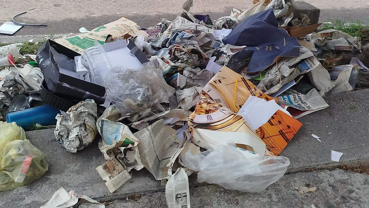 basura  (1)