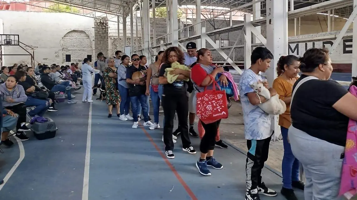Esterilización  (1)