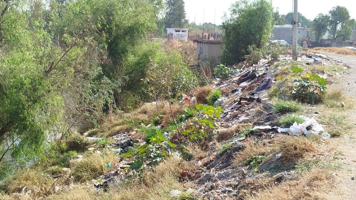 Basura  (1)