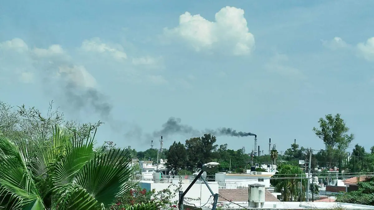 WhatsApp Image 2025-11-10 at 6.20.15 PM