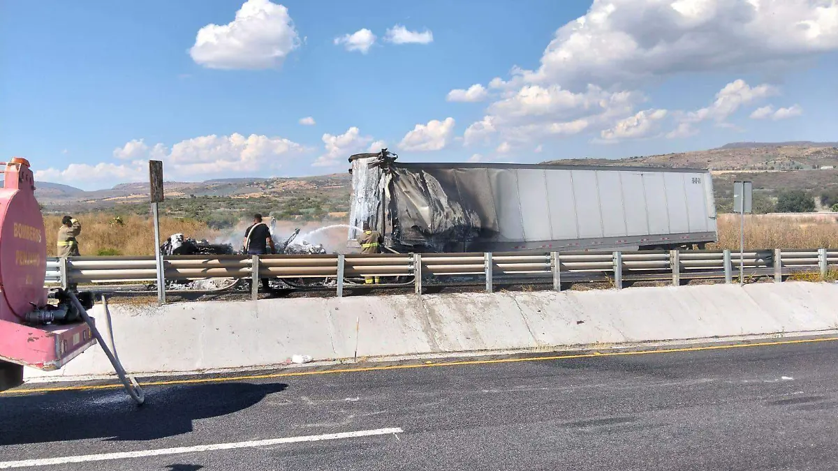 WhatsApp Image 2025-11-17 at 14.29.42