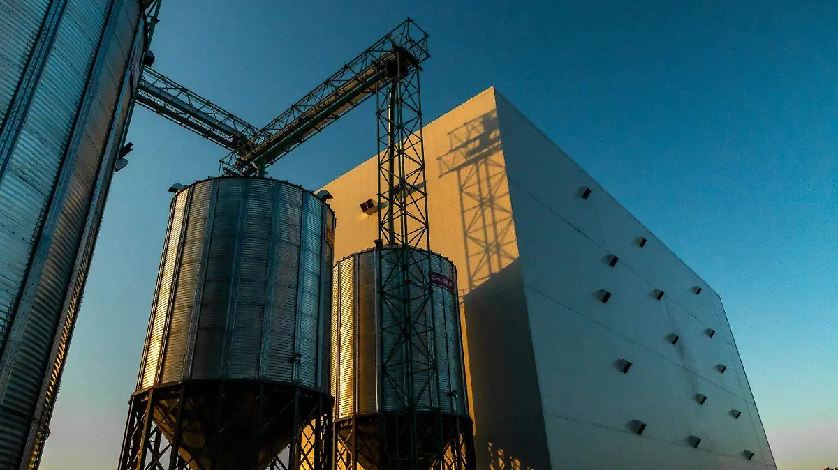 1 OEM AMMI consolida exito