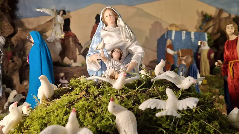 Nacimientos-Salmantinos