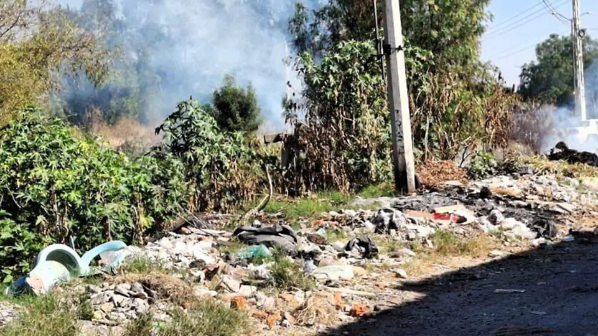 4a9fe037-5db7-4648-96db-4cade4a86570