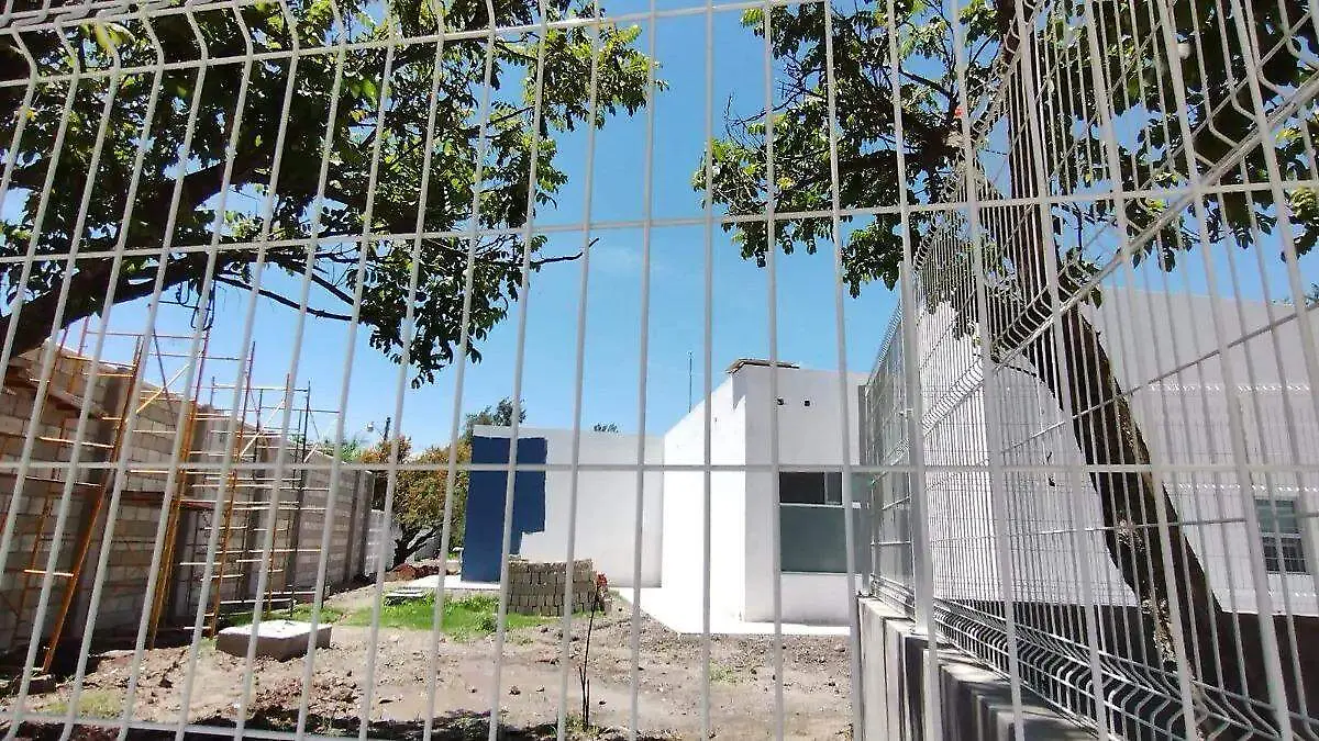 WhatsApp Image 2025-12-26 at 1.35.51 PM