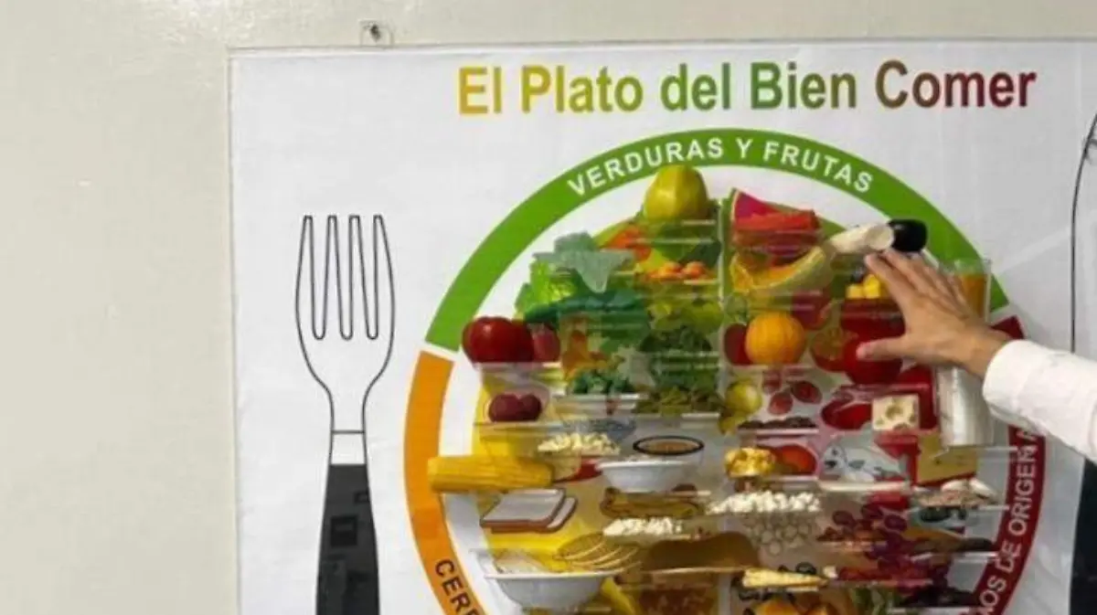 alimentos  (1)