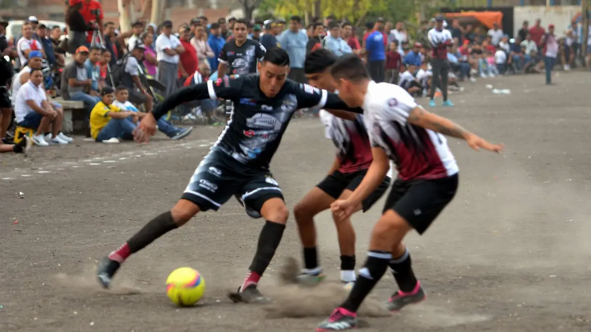 CAMPOSNUEVOS-MiguelManjarrez-SoldeSalamanca