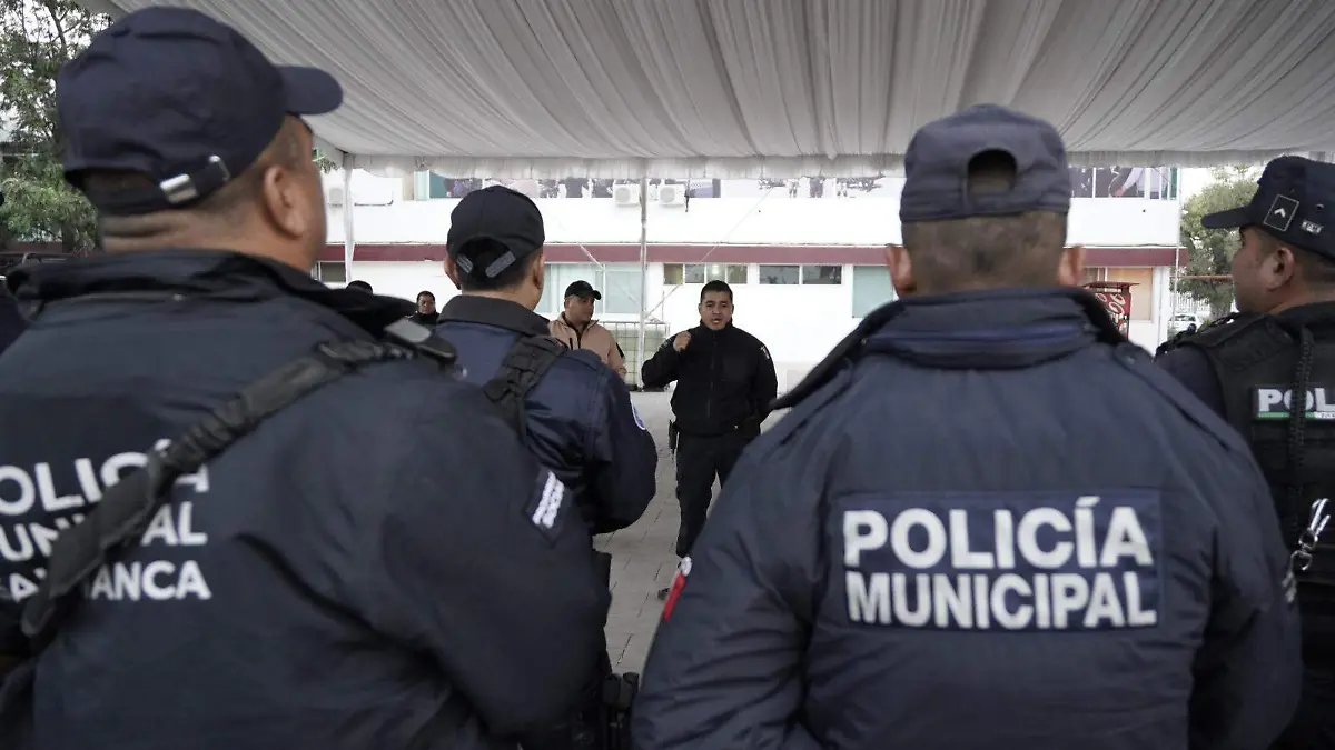 WhatsApp Image 2026-01-08 at 11.05.11 AM (3)