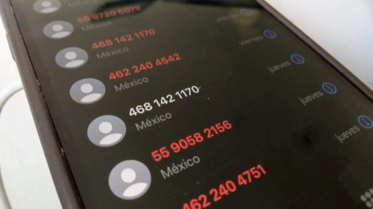 WhatsApp Image 2026-01-12 at 4.42.45 PM