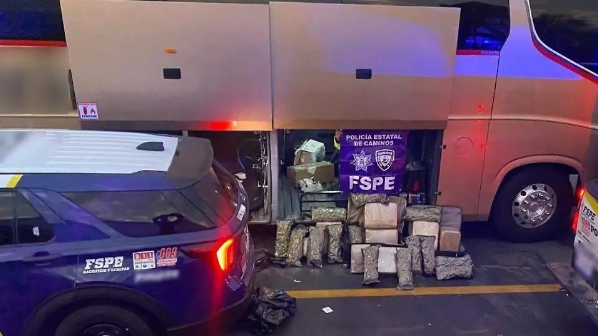 WhatsApp Image 2026-01-18 at 11.21.17