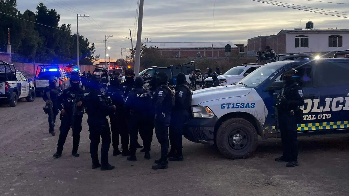 WhatsApp Image 2026-01-28 at 16.24.04