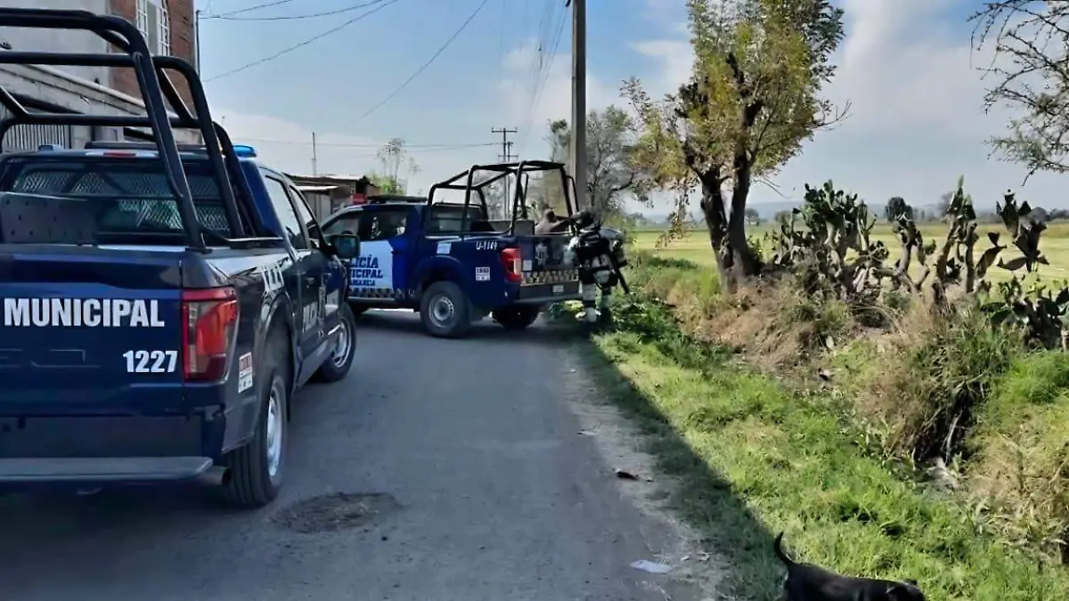 WhatsApp Image 2026-02-10 at 11.32.21 AM