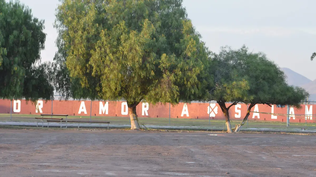 SALAMANCADETIENE-MiguelManjarrez-SoldeSalamanca