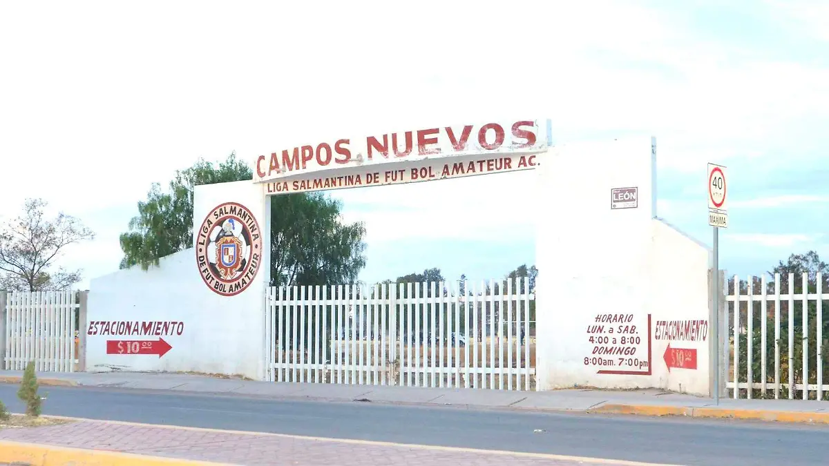 CAMPOSNUEVOSCERRADOS1-MiguelManjarrez-SoldeSalamanca