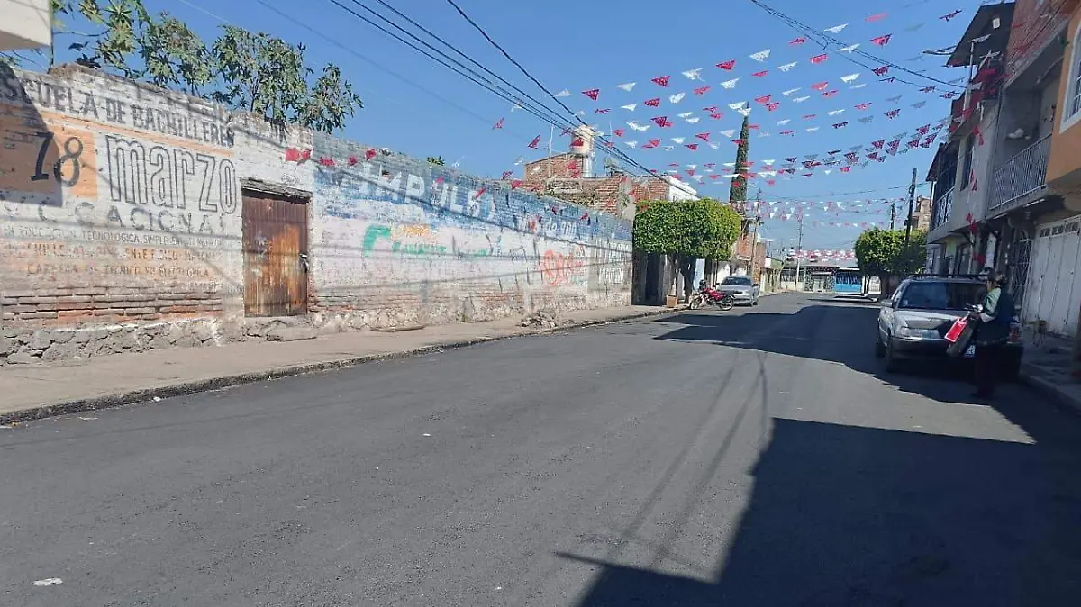  función vial