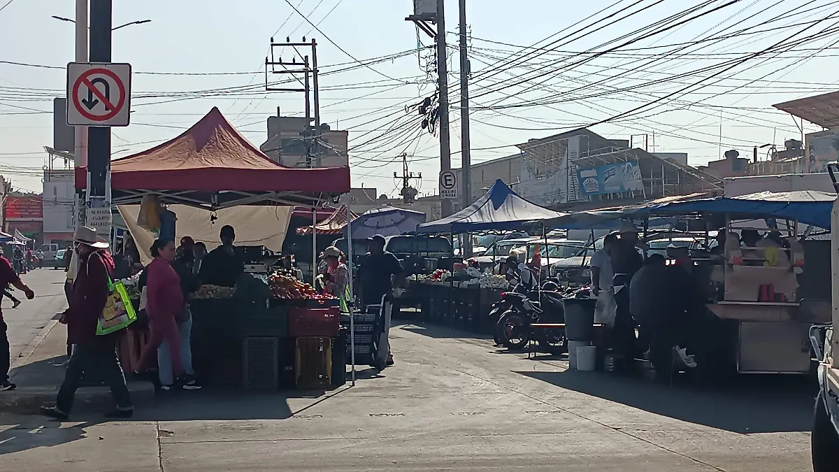 nuevo mercado municipal