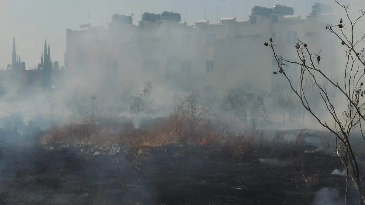 Primer-bimestre-Salamanca