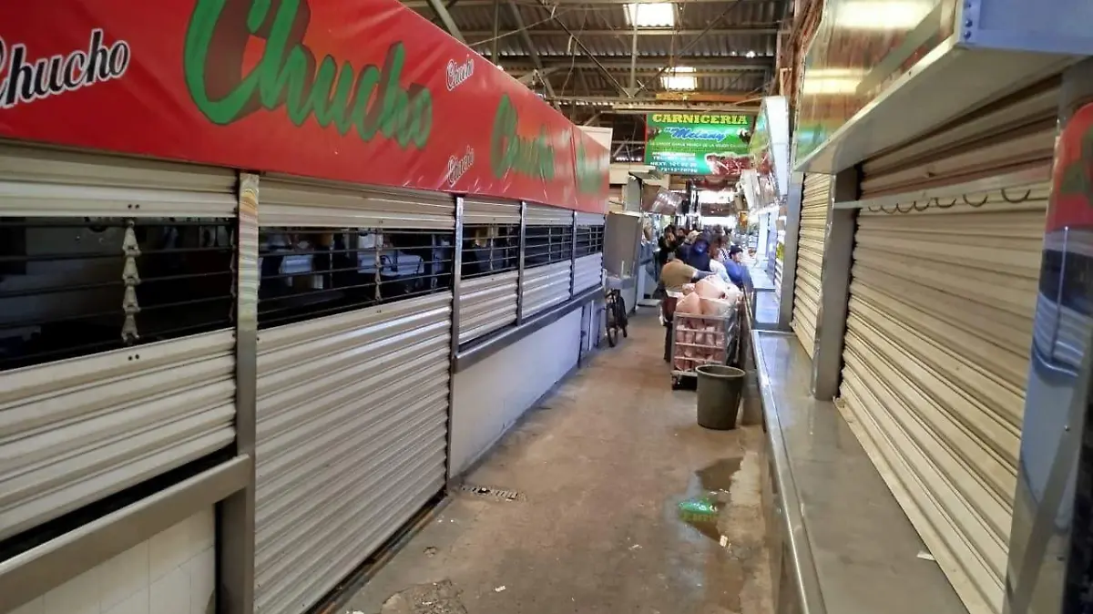 WhatsApp Image 2026-03-09 at 4.04.36 PM (2)