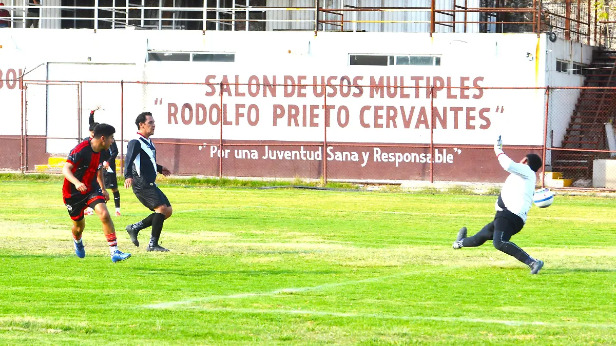 Campos nuevos 