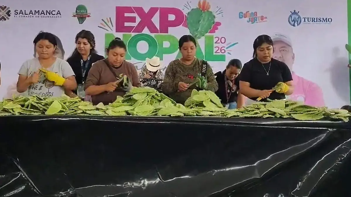  retirar las espinas de la penca 