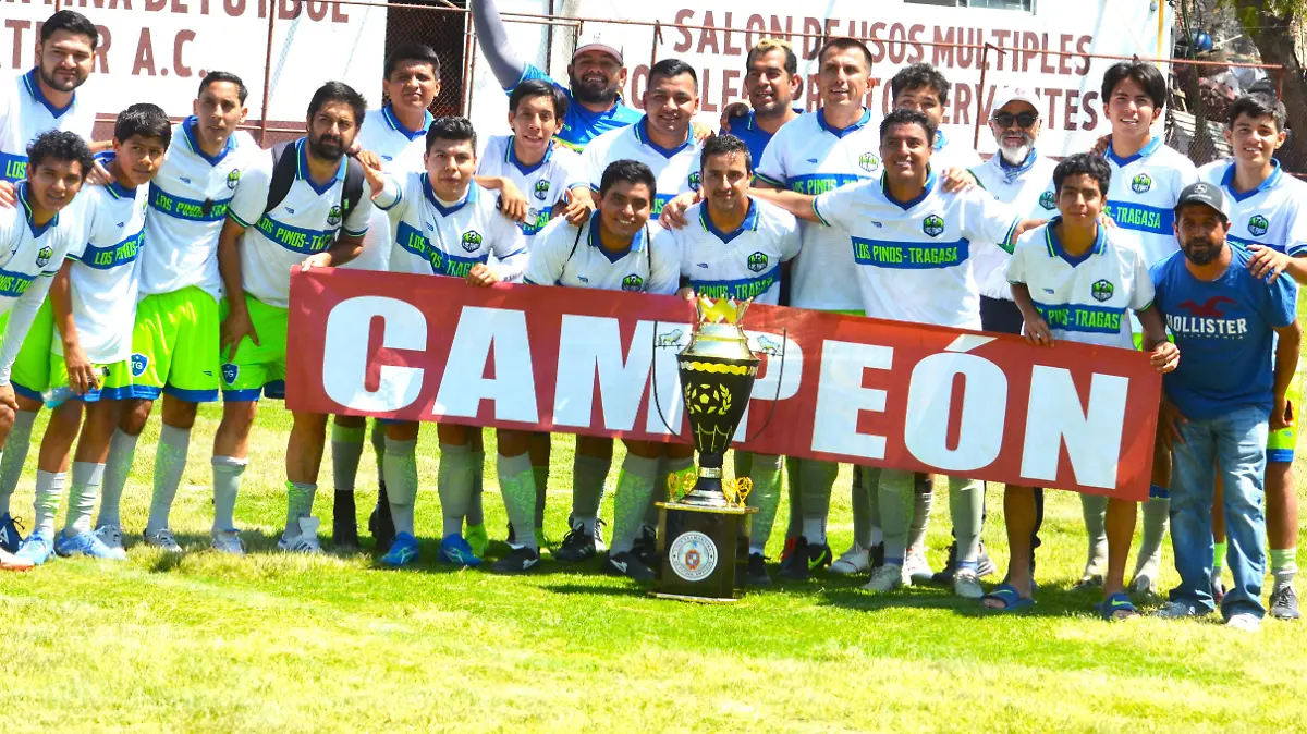 PINOSTRAGASA1-MiguelManjarrez-SoldeSalamanca