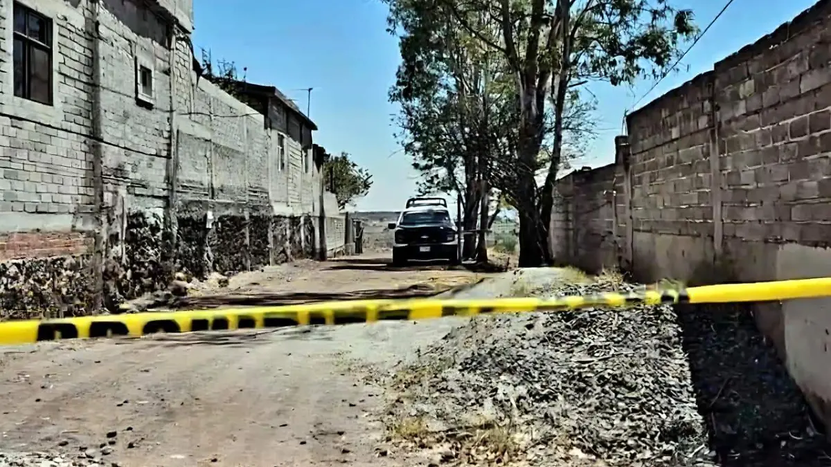 1f217904-3c3c-4a03-8674-d0f6725e0915