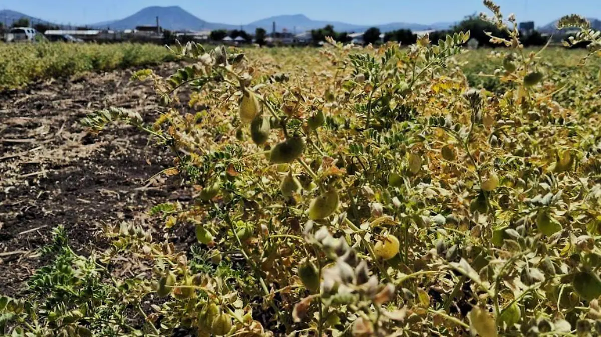 69310988-a739-47c1-9db8-9c9239f04eae