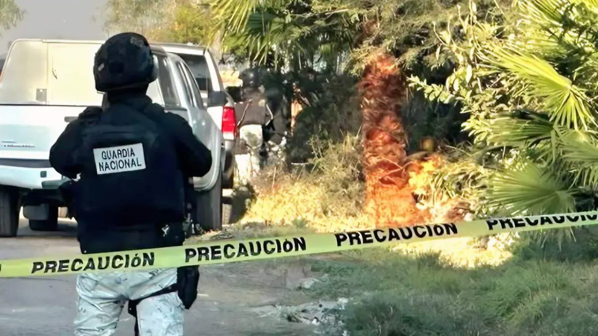 0ca6753a-aadf-43de-94fd-af0b7337043f